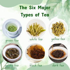 The 6 Major Types of Tea: the Ultimate Tea Classification