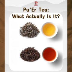 Pu'Erh Tea: What Actually Is It?