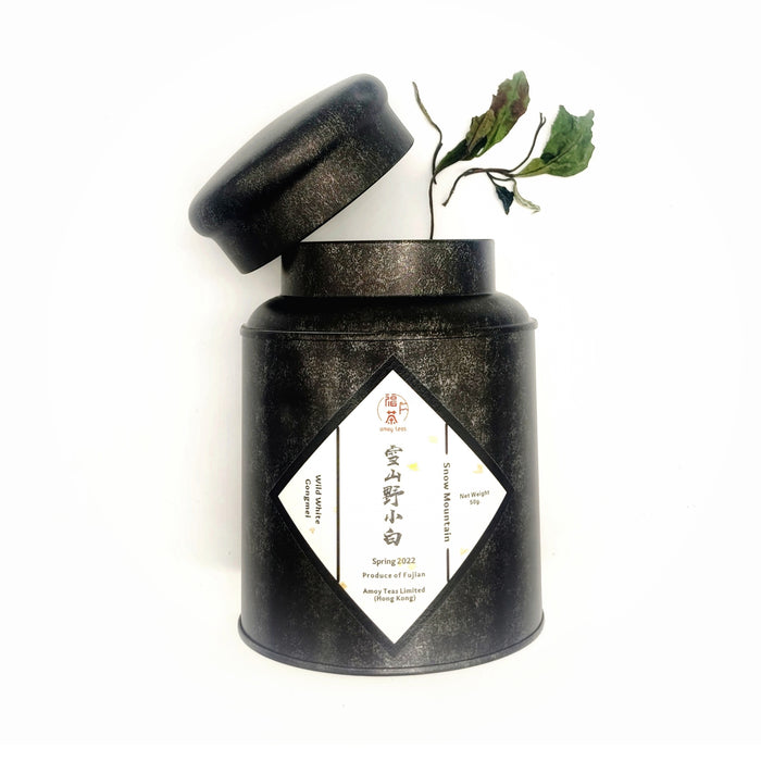 White Tea Loose - Wild Gongmei - 2022 Snow Mountain