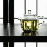 Glass Bright Pearl Teapot - Removable Filter Heat Proof Glass Pot