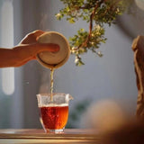 Wild Lapsang Souchong Spring 2020 【non-smoky】