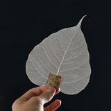 Bodhi Leaf Tea Filter