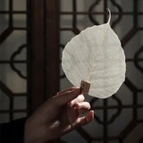 Bodhi Leaf Tea Filter