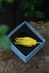 Ceramic Handmade Buddha's Hand