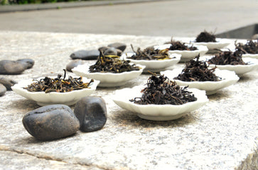 Fenghuang (Phoenix) Dancong Tea Types - The Ultimate Dancong Classification