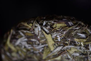 Did you know what the main White Tea's Tree Varietals are?